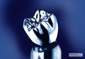 Poster „Diamant 2008“